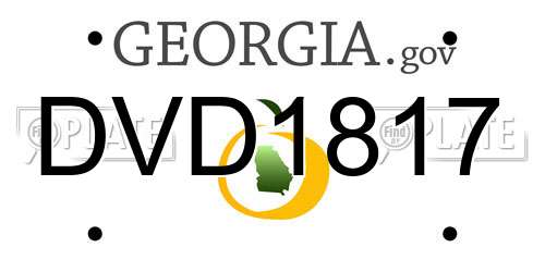 DVD1817 Georgia License Plate
