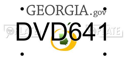 DVD641 Georgia License Plate