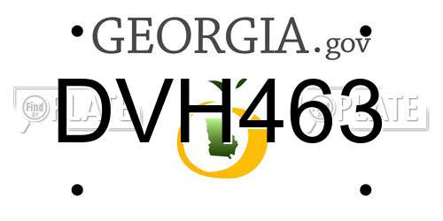 DVH463 Georgia License Plate