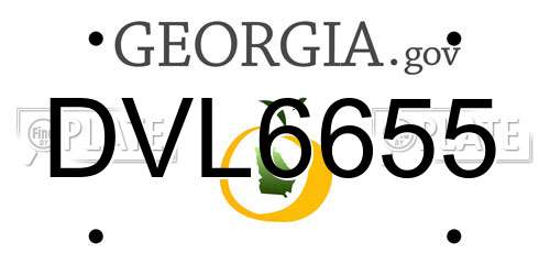 DVL6655 Georgia License Plate
