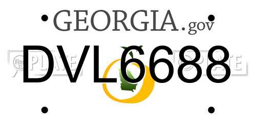 DVL6688 Georgia License Plate