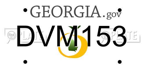 DVM153 Georgia License Plate