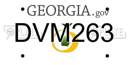 DVM263 Georgia License Plate