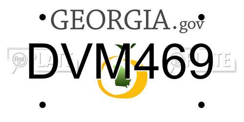 DVM469 Georgia License Plate