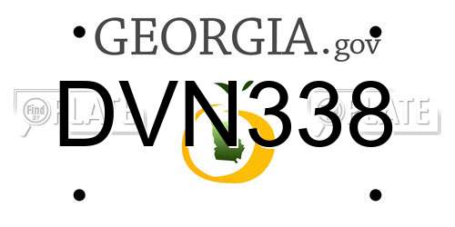 DVN338 Georgia License Plate