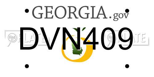 DVN409 Georgia License Plate