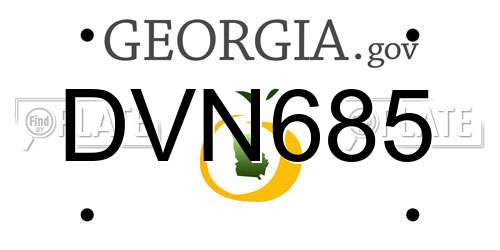 DVN685 Georgia License Plate