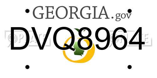 DVQ8964 Georgia License Plate