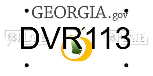 DVR113 Georgia License Plate