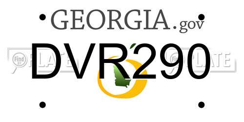 DVR290 Georgia License Plate