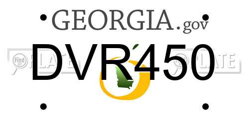 DVR450 Georgia License Plate