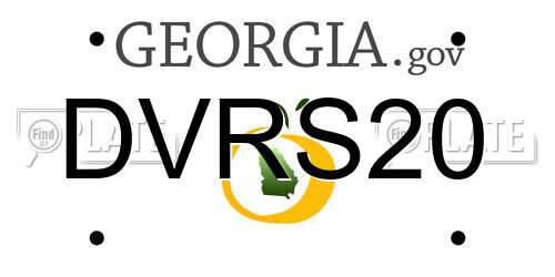 DVRS20 Georgia License Plate