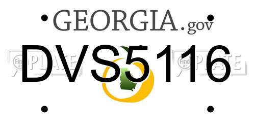 DVS5116 Georgia License Plate