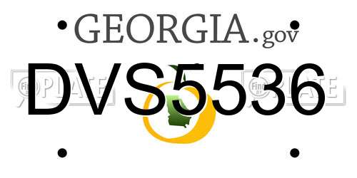 DVS5536 Georgia License Plate