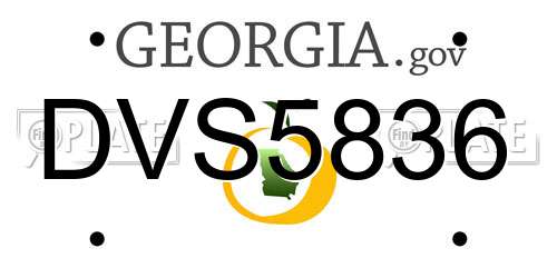 DVS5836 Georgia License Plate