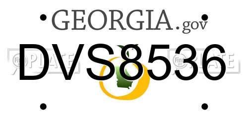 DVS8536 Georgia License Plate