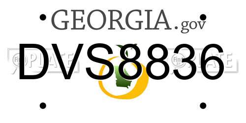 DVS8836 Georgia License Plate