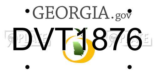 DVT1876 Georgia License Plate