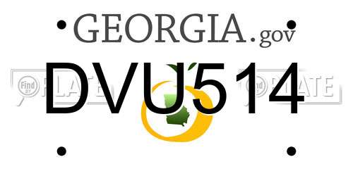 DVU514 Georgia License Plate
