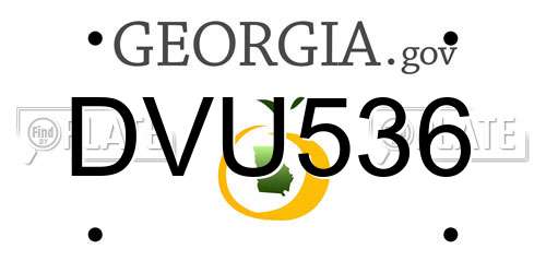 DVU536 Georgia License Plate