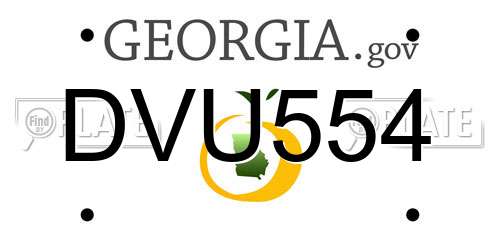 DVU554 Georgia License Plate