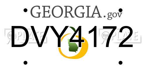 DVY4172 Georgia License Plate