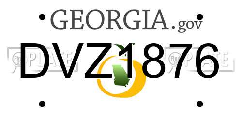 DVZ1876 Georgia License Plate