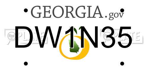 DW1N35 Georgia License Plate