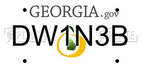 DW1N3B Georgia License Plate