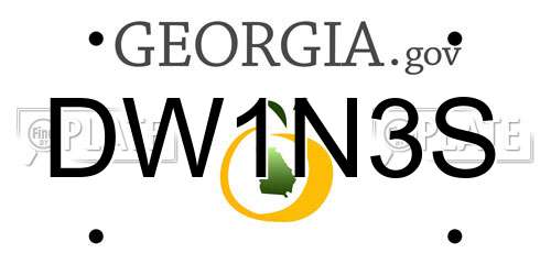 DW1N3S Georgia License Plate