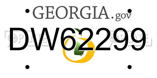 DW62299 Georgia License Plate