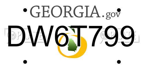 DW6T799 Georgia License Plate
