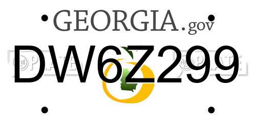DW6Z299 Georgia License Plate