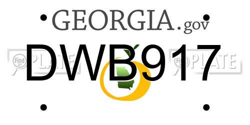 DWB917 Georgia License Plate