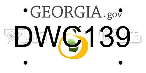 DWC139 Georgia License Plate