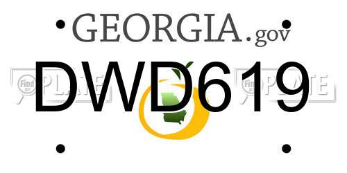 DWD619 Georgia License Plate