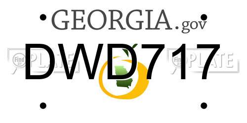 DWD717 Georgia License Plate