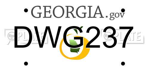 DWG237 Georgia License Plate