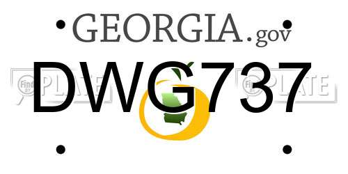 DWG737 Georgia License Plate