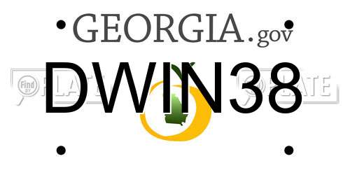 DWIN38 Georgia License Plate