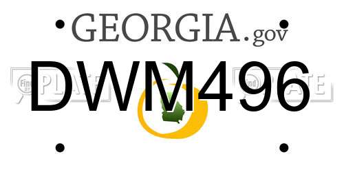 DWM496 Georgia License Plate