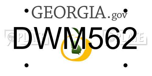 DWM562 Georgia License Plate