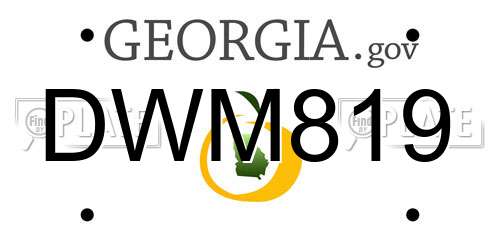DWM819 Georgia License Plate