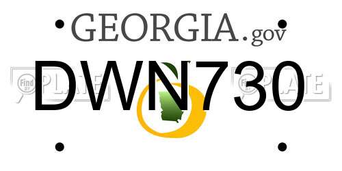 DWN730 Georgia License Plate