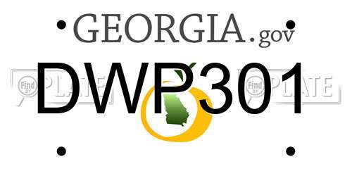 DWP301 Georgia License Plate