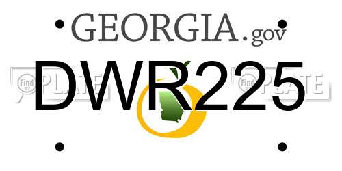 DWR225 Georgia License Plate