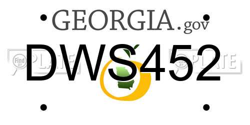 DWS452 Georgia License Plate