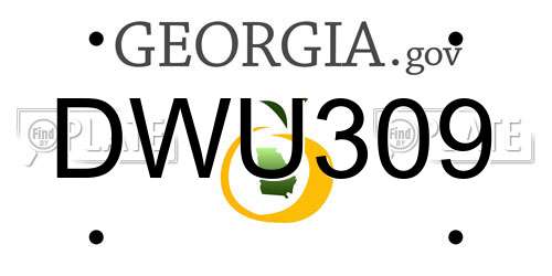 DWU309 Georgia License Plate