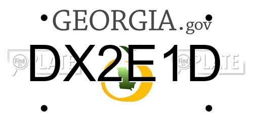 DX2E1D Georgia License Plate