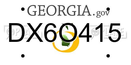 DX6O415 Georgia License Plate